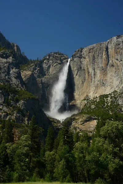 DSC_2372 (Large).JPG